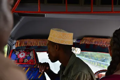 DSC_4632 (Large).JPG